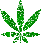 Your Logo